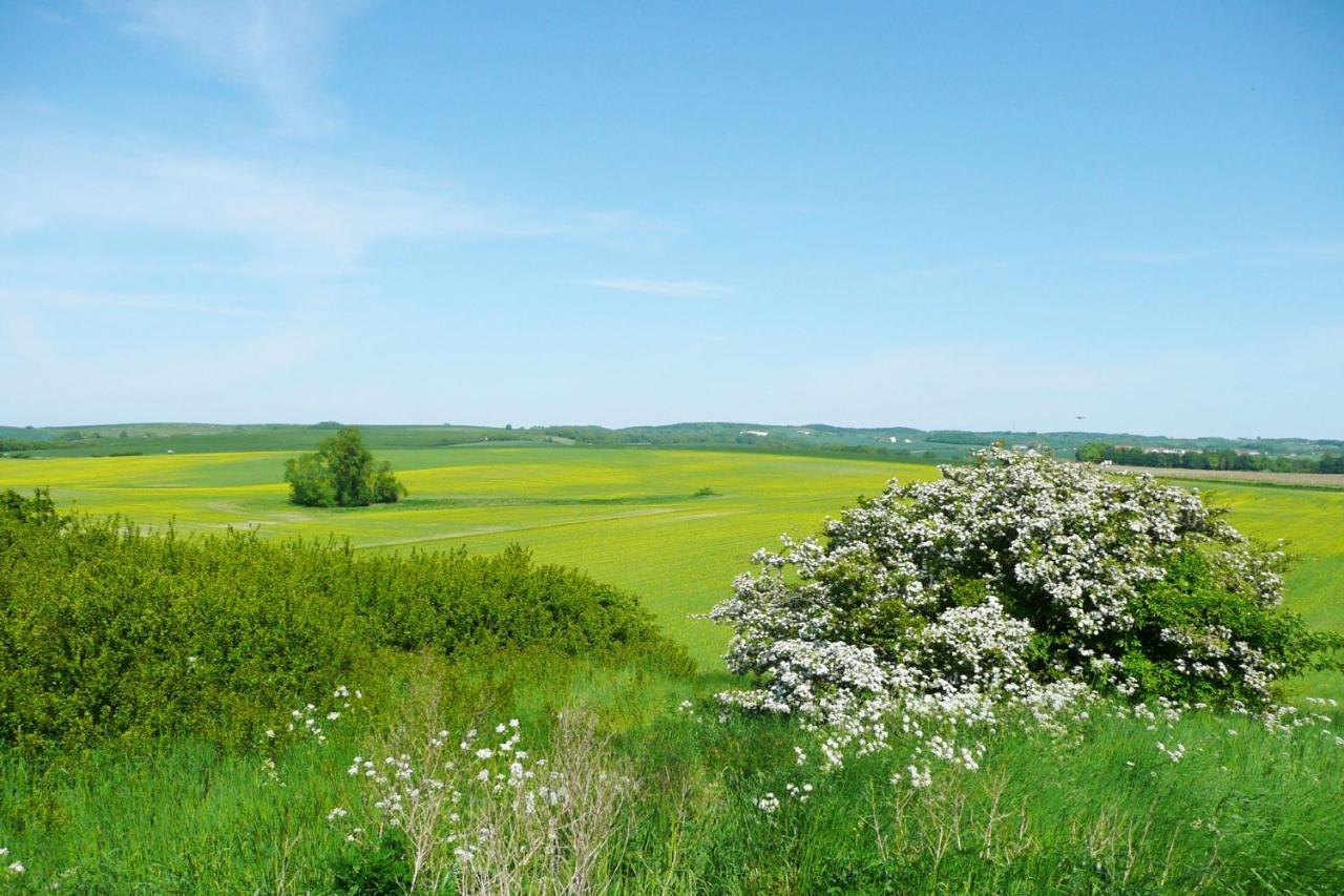 Ferienwohnung Mit Balkon Und Meerblick - Ferienresidenz Zwei Bodden Fewo 1-4 Lietzow 外观 照片